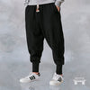 Zhìhuì Streetwear Baggy Pants